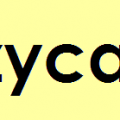Leczyca bandeau 1